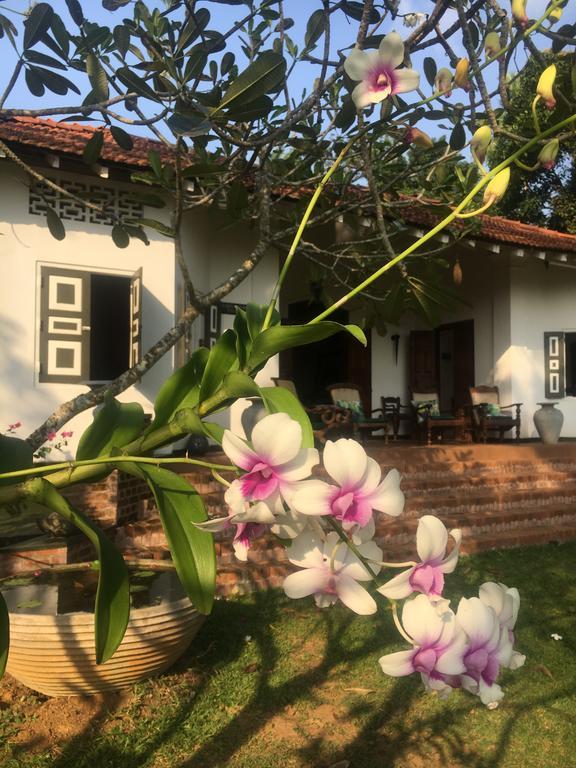 Bed and Breakfast Templeberg Walahanduwa Экстерьер фото