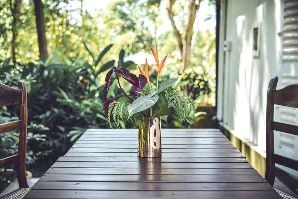 Bed and Breakfast Templeberg Walahanduwa Экстерьер фото
